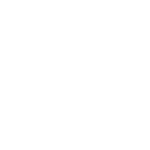 Tata Elxsi